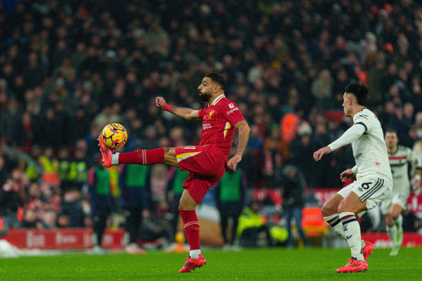 的不仅是荣 的不仅是荣